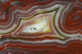 Polished Crazy Lace Agate Slab - Mexico #141200-1